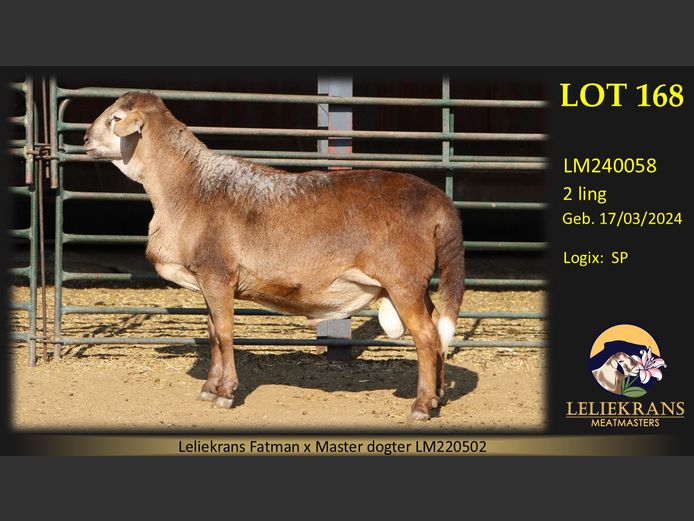 LM240058 | LELIEKRANS MEATMASTERS