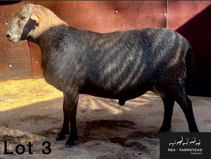 16 | Rea Farmstead