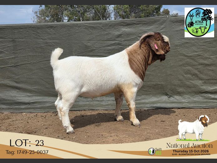 1749-25-0037 | ATKA Boerbokstoet