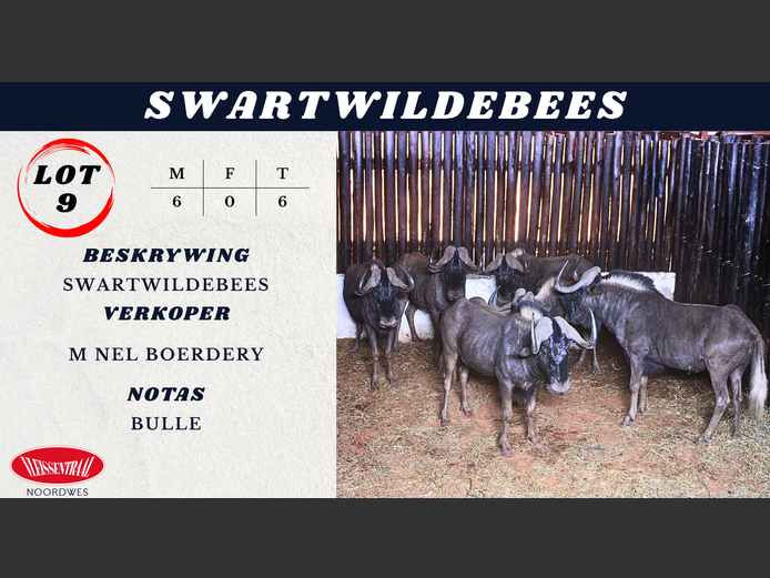 SWARTWILDEBEES