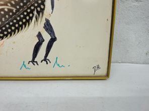 images
