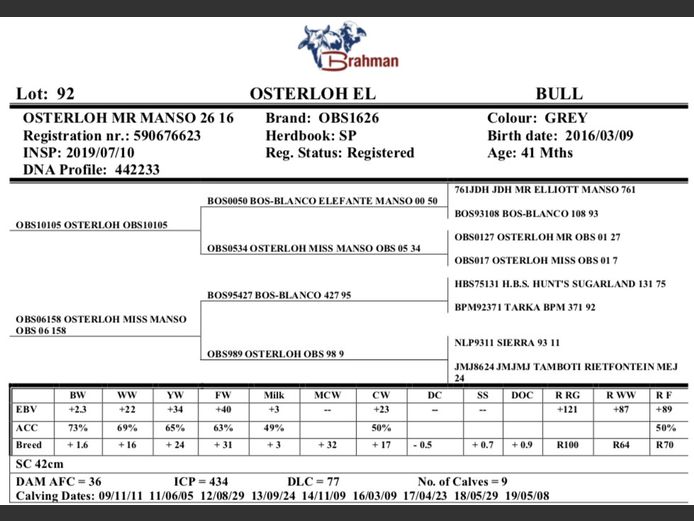 OSTERLOH BRAHMAN OBS1626