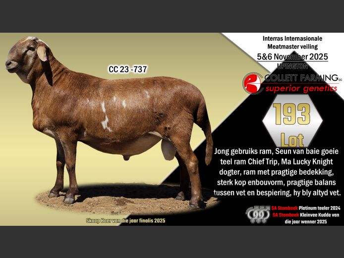 CC 23-737 | SUPERIOR GENETICS