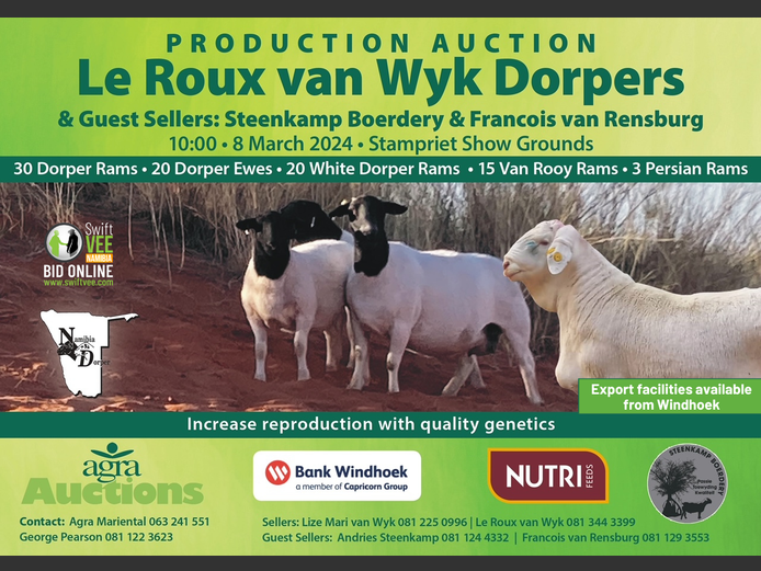 LE ROUX VAN WYK DORPERS PRODUCTION SALE & GUEST SELLERS