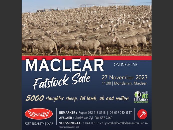 MACLEAR FATSTOCK SALE 