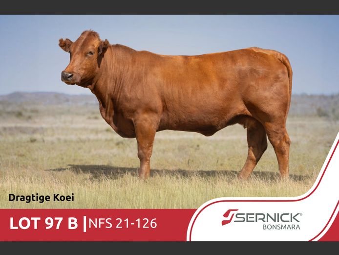 NFS 210126 HH(c) | SERNICK BONSMARA STOET