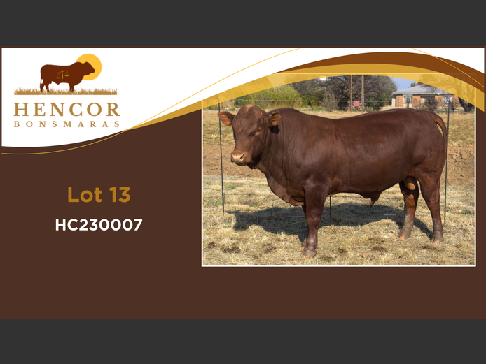 HC  230007 | HENCOR BOERDERY