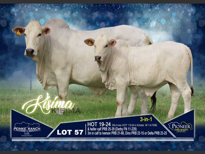 HOT 190024 | PEINKE RANCH