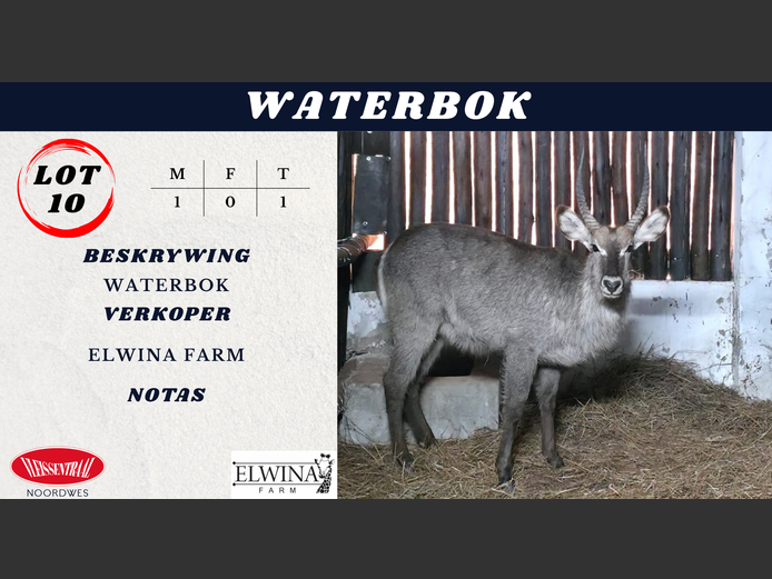 WATERBOK