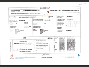 genetic_data