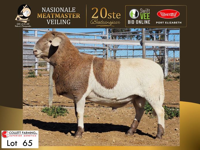CC 250213 | COLLETT FARMING CC