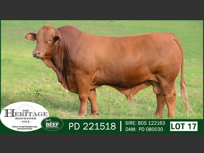 PD221518 | SUPER PRO DAIRY