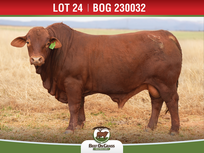 BOG 230032 | BEEF ON GRASS PTY LTD