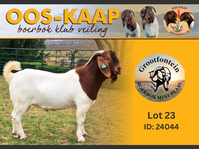 24-044 | Grootfontein