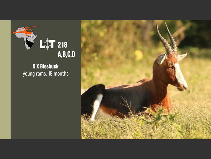 Blesbuck