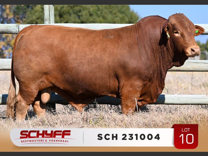 SCH 231004