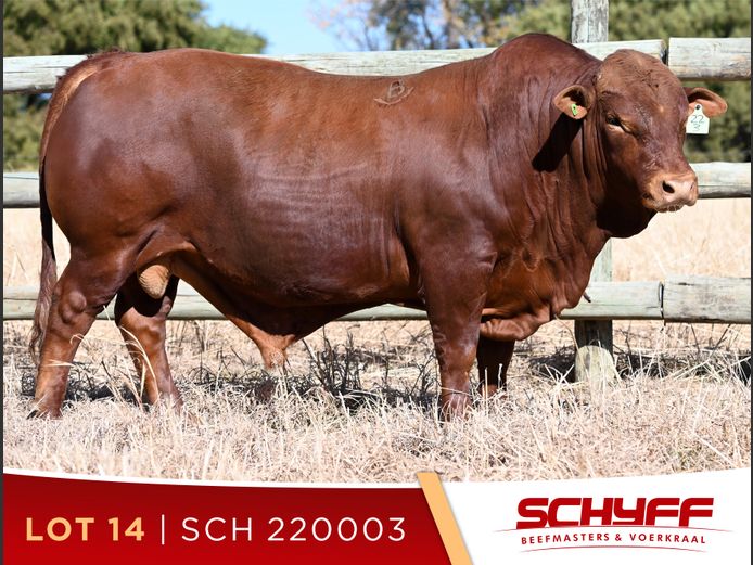 SCH 220003