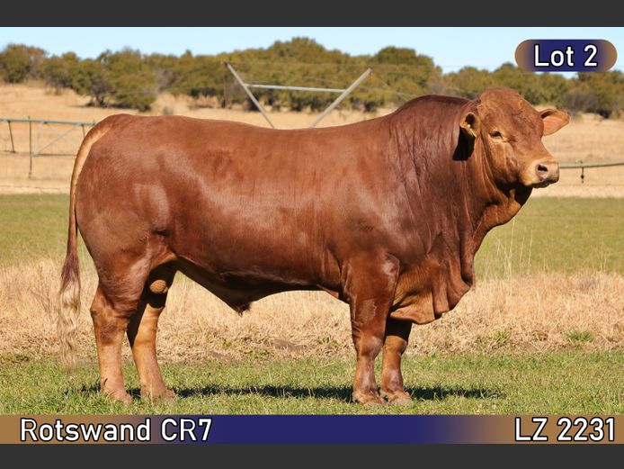 LZ2231 | AP VAN ZYL