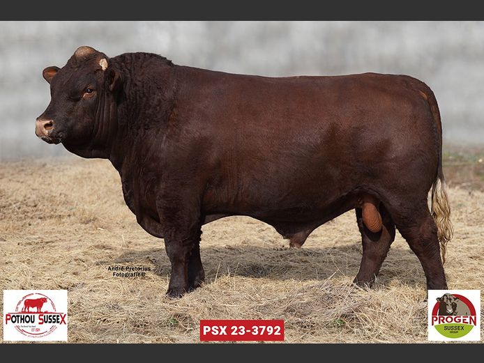 PSX 233792 | POTHOU BK