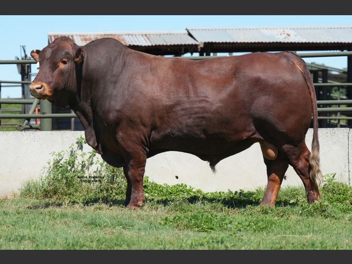 WVZ230019 | THUSO GRAAN EDMS BPK