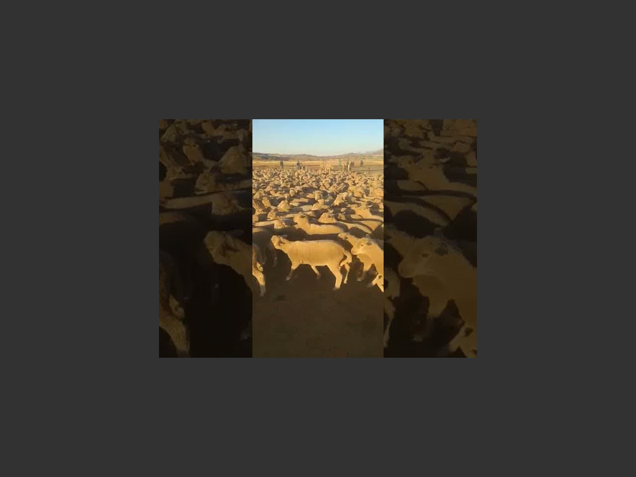 images