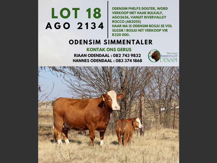 AGO2134 | AG ODENDAAL
