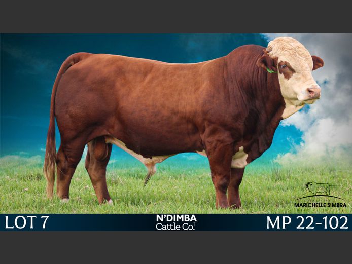 MP22102C