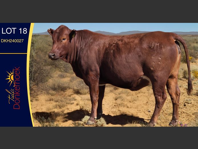 DKH240027 | DONKERHOEK BOERDERY TRUST