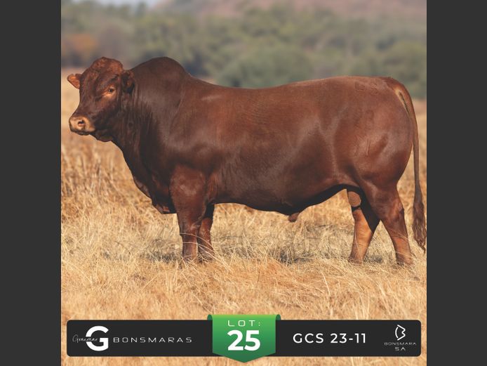 GCS 230011 | G.C. STANFORD