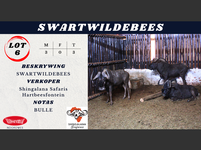 SWARTWILDEBEES