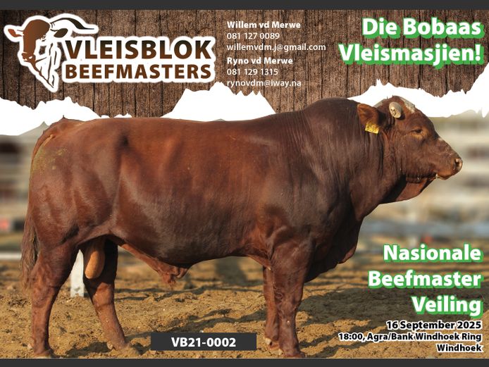 21-0002VB | VLEISBLOK BEEFMASTER