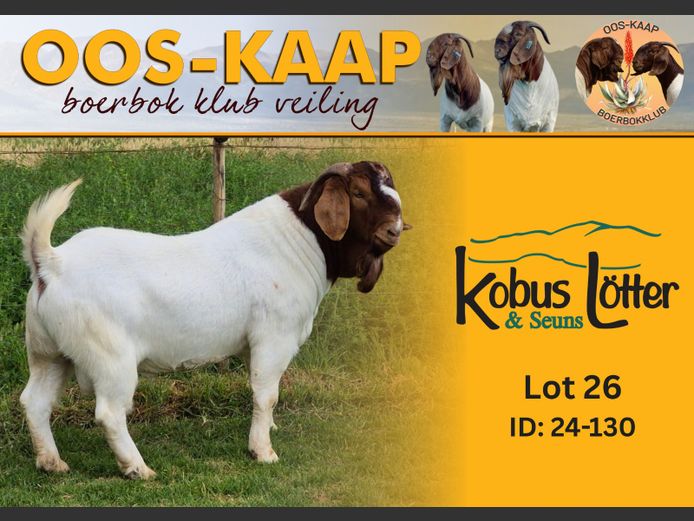 24-130 | Kobus Lotter en Seuns