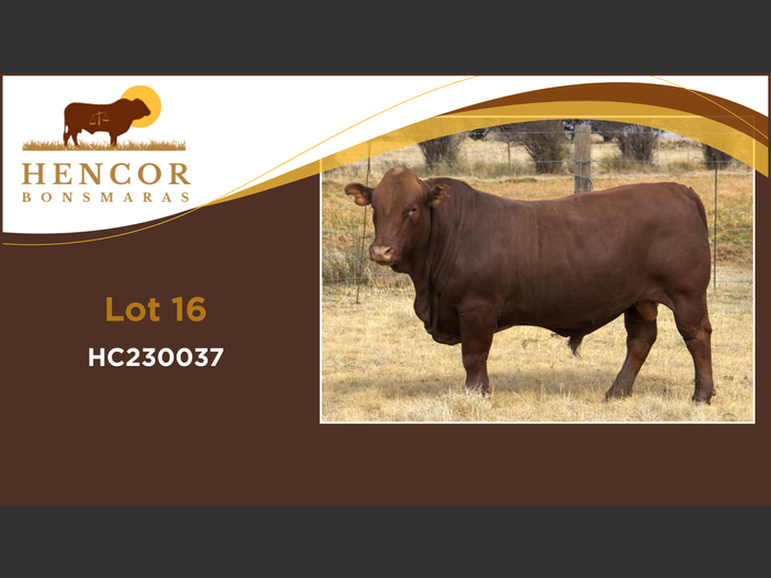 HC  230037 | HENCOR BOERDERY