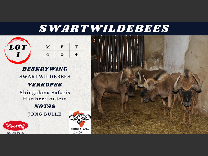 SWARTWILDEBEES