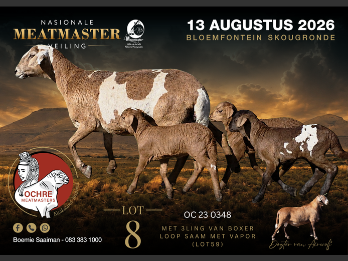 OC 22 0348 | Ochre Meatmasters