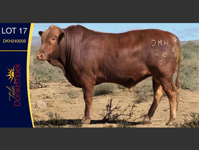 DKH240009 | DONKERHOEK BOERDERY TRUST