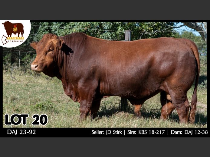 DAJ 230092 | J.D. STIRK