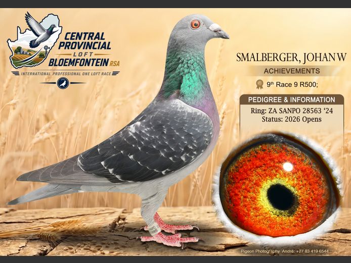 ZA 28563 2024 | SMALBERGER, JOHAN W