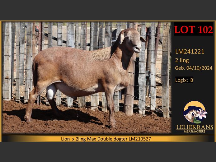 LM241221 | LELIEKRANS MEATMASTERS