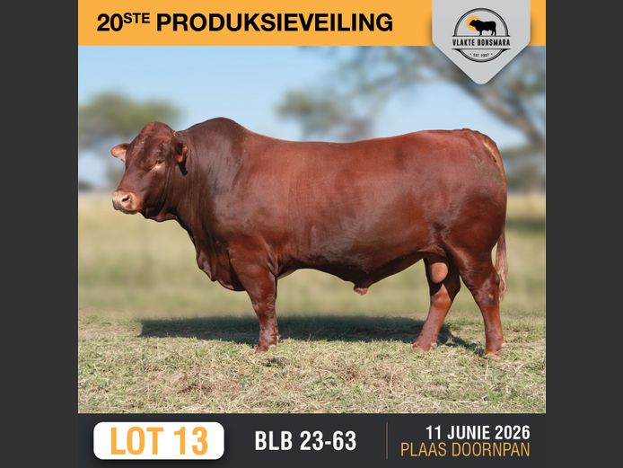 BLB230063 | BOSLAND BOERDERY