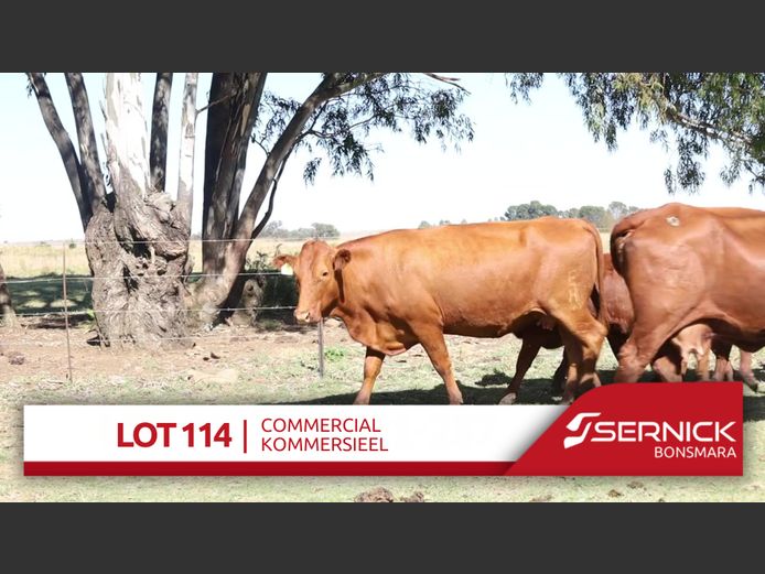 Commercial Animals