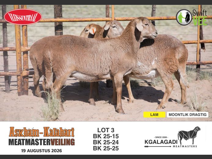 BK 25-24 | BARRI KNOETZE