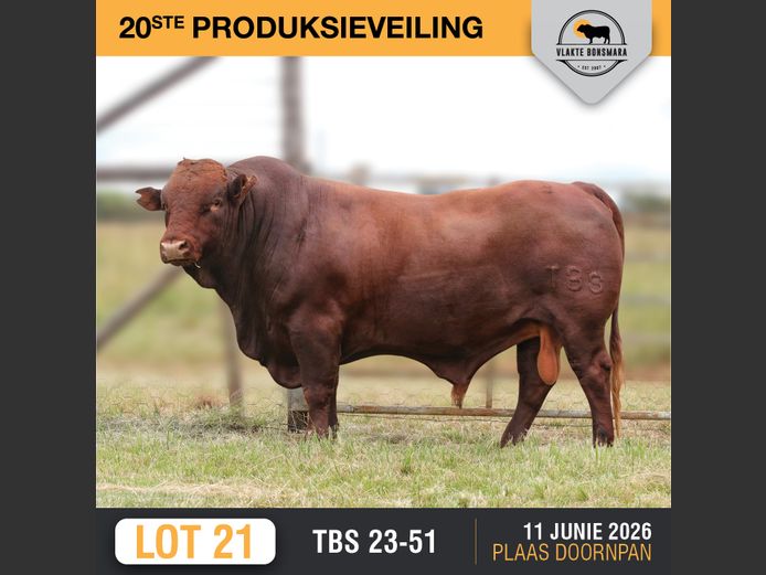 TBS230051 | THABA KWENA BONSMARAS
