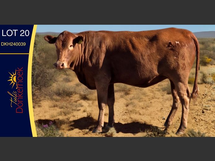 DKH240039 | DONKERHOEK BOERDERY TRUST