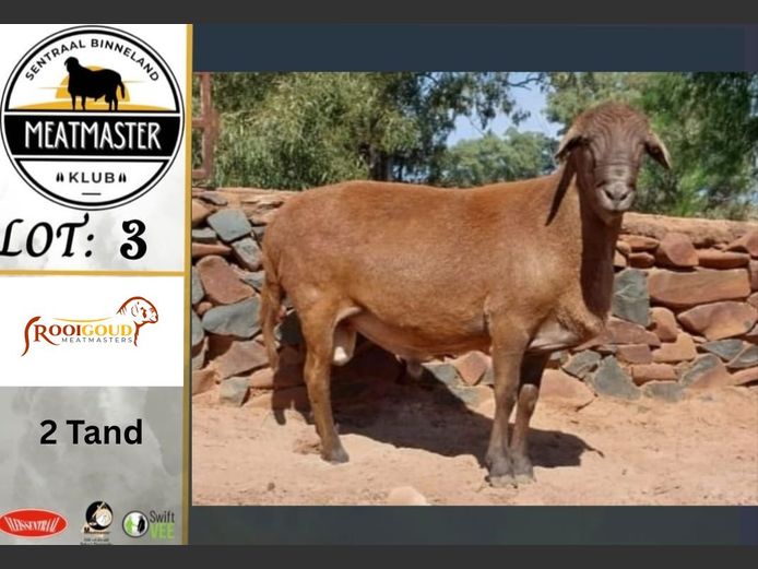 RG240033 | Rooigoud Meatmasters