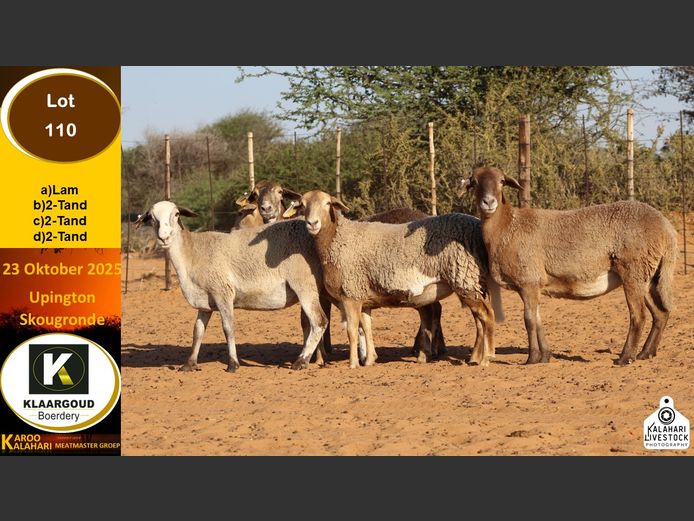 CP 110A | Chris Potgieter & Christia Scholtz - Klaargoud Boerdery