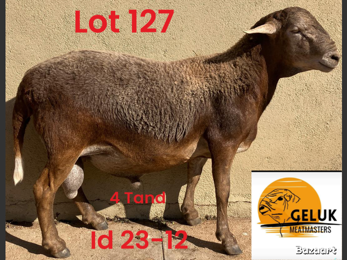 23-12 GM3 | GELUK MEATMASTERS