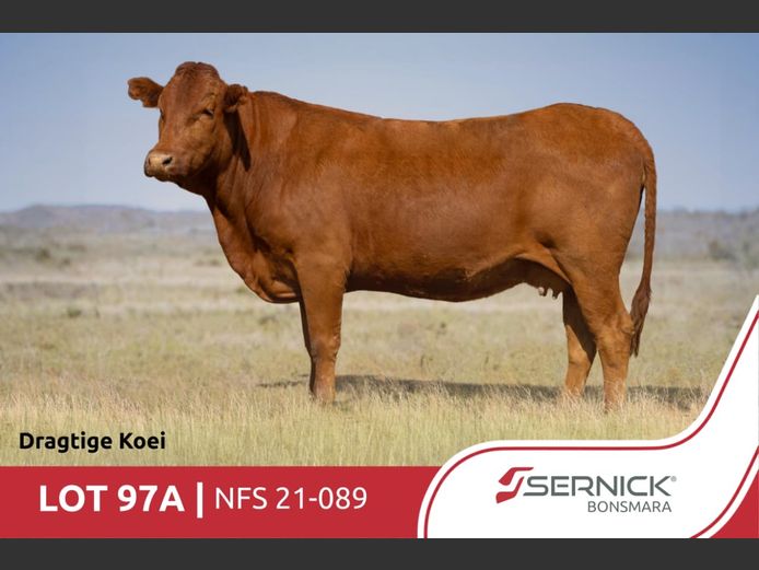 NFS 210089 HH(c) | SERNICK BONSMARA STOET