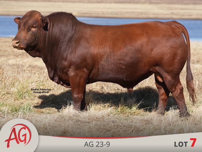 AG230009 HH(c) | ARTHUR DE VILLIERS & SEUN