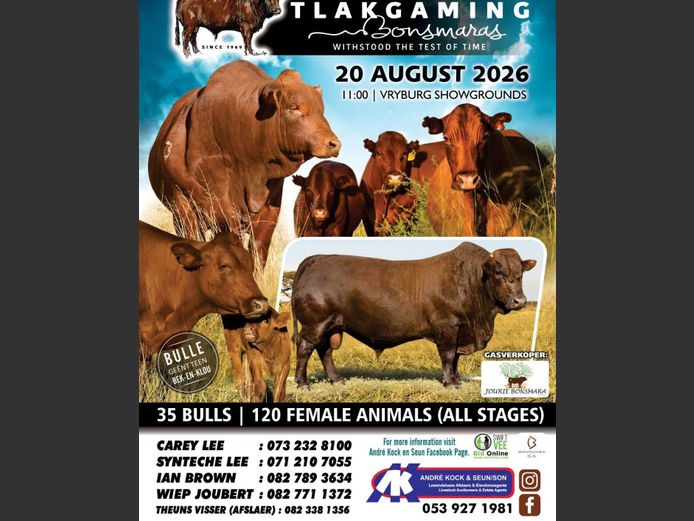 TLAKGAMING BONSMARAS PRODUCTION SALE